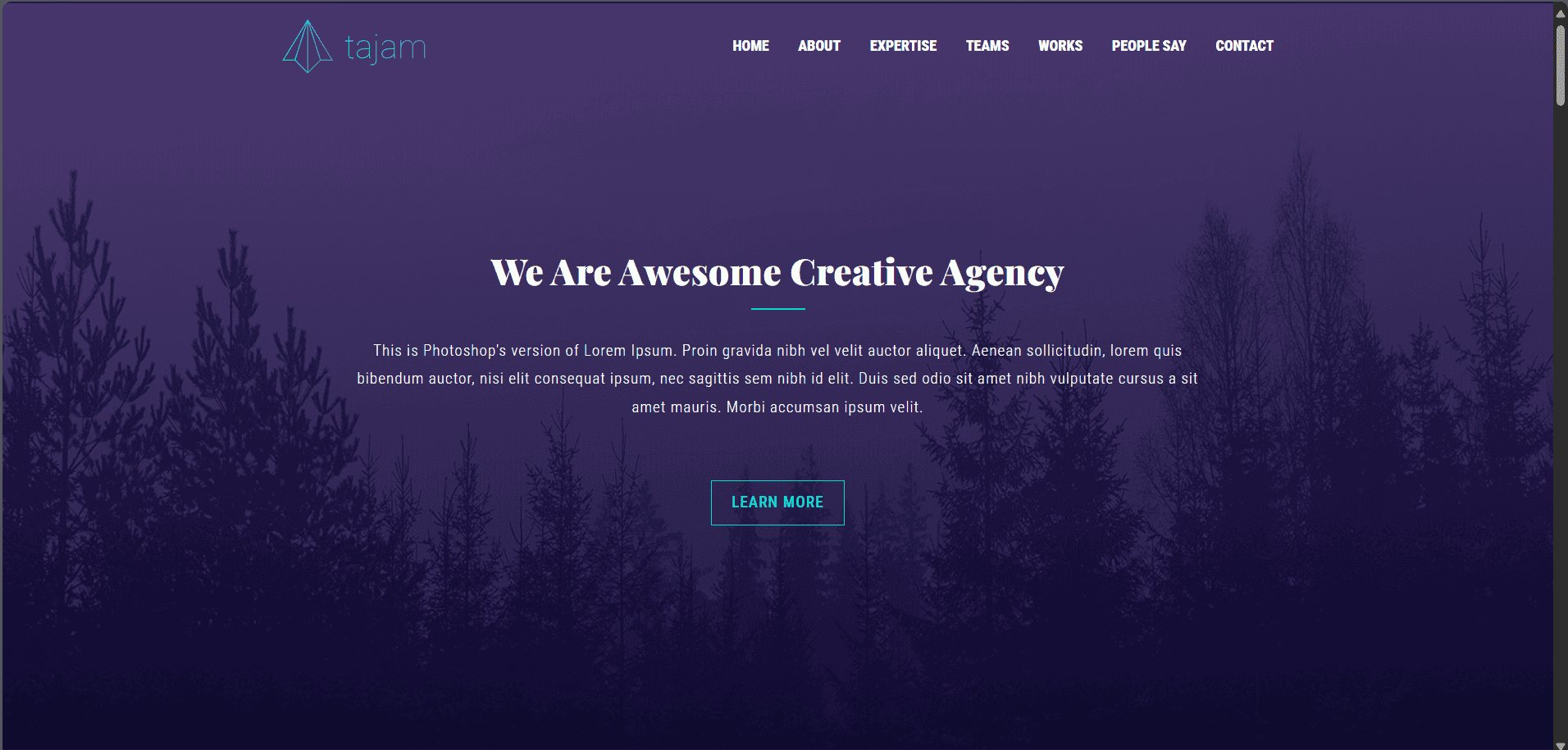 Картинка портфолио